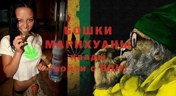 прущие грибы Балабаново