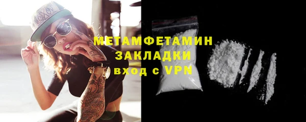прущие грибы Балабаново