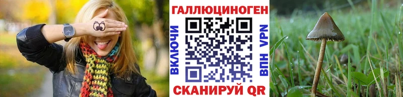 Псилоцибиновые грибы Psilocybe  Ясногорск 
